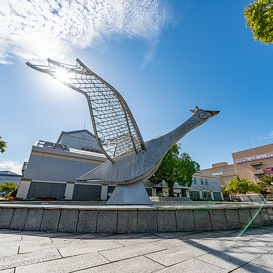 調査員（正職員）